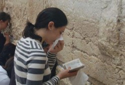 娱乐吃瓜君大厨,揭秘娱乐圈背后的美食故事